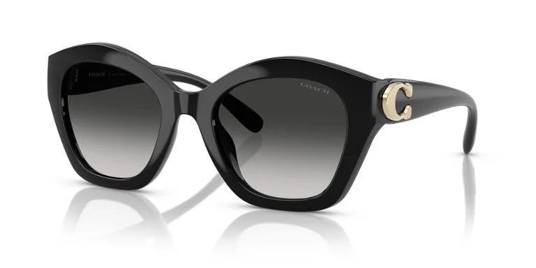 Coach Sunglasses HC8421U