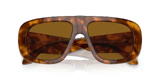 Giorgio Armani Sunglasses AR8183