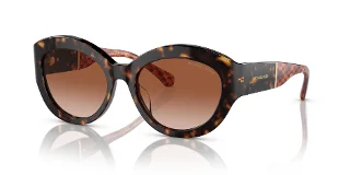 300613 Dark Tortoise