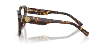 Dolce & Gabbana Eyeglasses DG3441