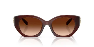Coach Sunglasses HC8407U