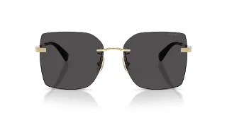 Coach Sunglasses HC7193D