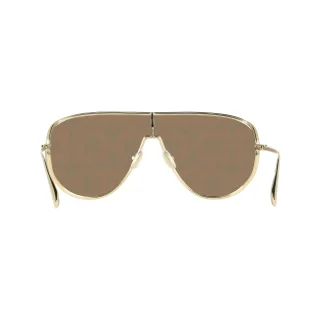 Salvatore Ferragamo Sunglasses SF323SG
