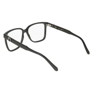 Salvatore Ferragamo Eyeglasses SF3043E