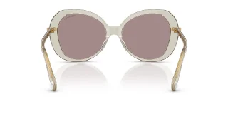 Swarovski Sunglasses SK6059F