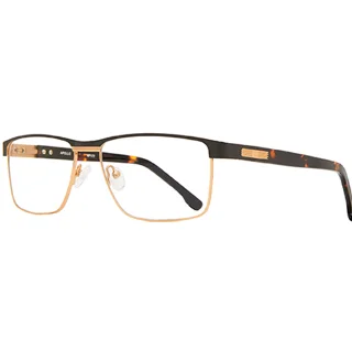 Apollo Eyeglasses AP177