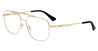 Police Eyeglasses VPLU55