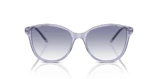 Emporio Armani Sunglasses EA4220
