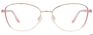 Easyclip Eyeglasses EC684