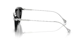 Swarovski Sunglasses SK6010F