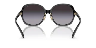 Coach Sunglasses HC8360F