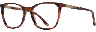 Alan J Eyeglasses CDA-442