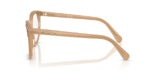 Swarovski Eyeglasses SK2033