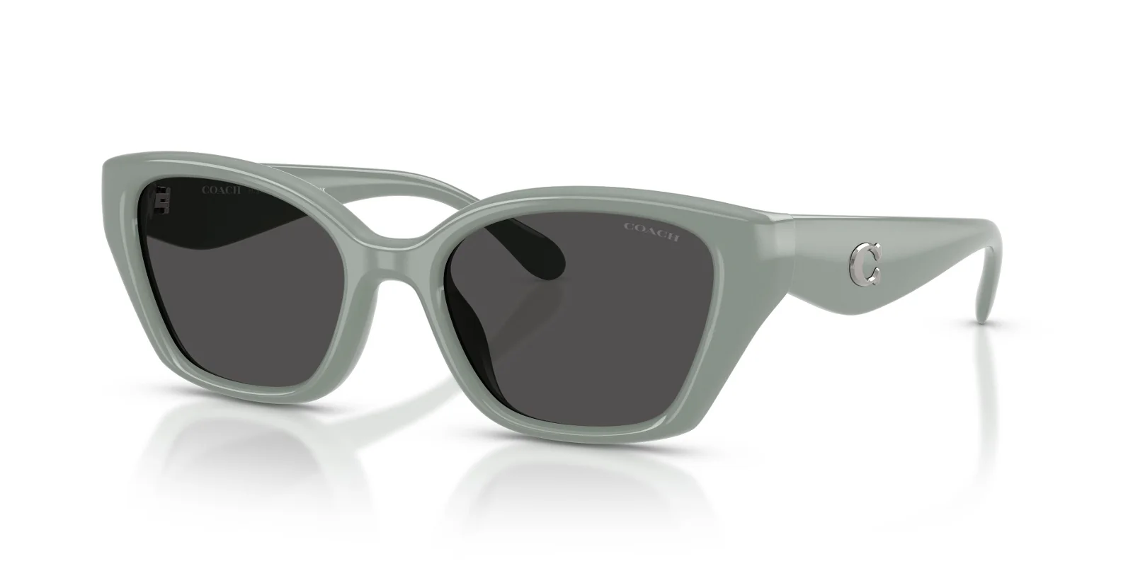 Coach Sunglasses HC8434U