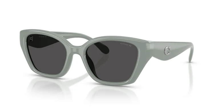 Coach Sunglasses HC8434U
