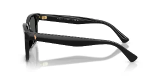 Polo Sunglasses PH4252U