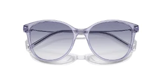 Emporio Armani Sunglasses EA4220