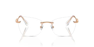 Swarovski Eyeglasses SK1014