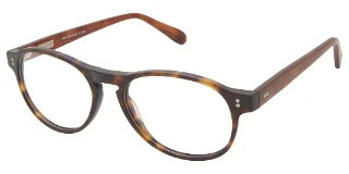 0F0 TORTOISE
