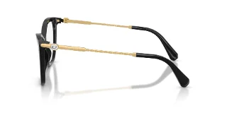 Swarovski Eyeglasses SK2051