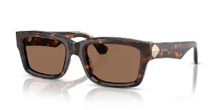 300273 Dark Havana