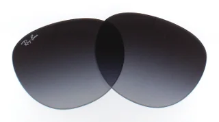 Ray Ban Replacement Lenses RB4171 Erika
