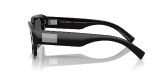 Dolce & Gabbana Sunglasses DG4483