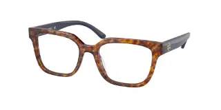 1840 Spotted Amber Tortoise