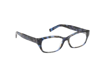 Abercrombie & Fitch Eyeglasses AF50029