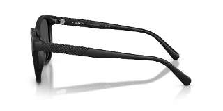 Coach Sunglasses HC8442U