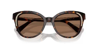 Swarovski Sunglasses SK6031F