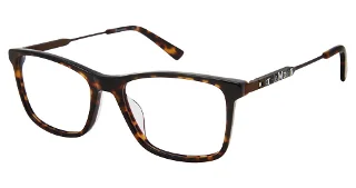 C02 Tortoise
