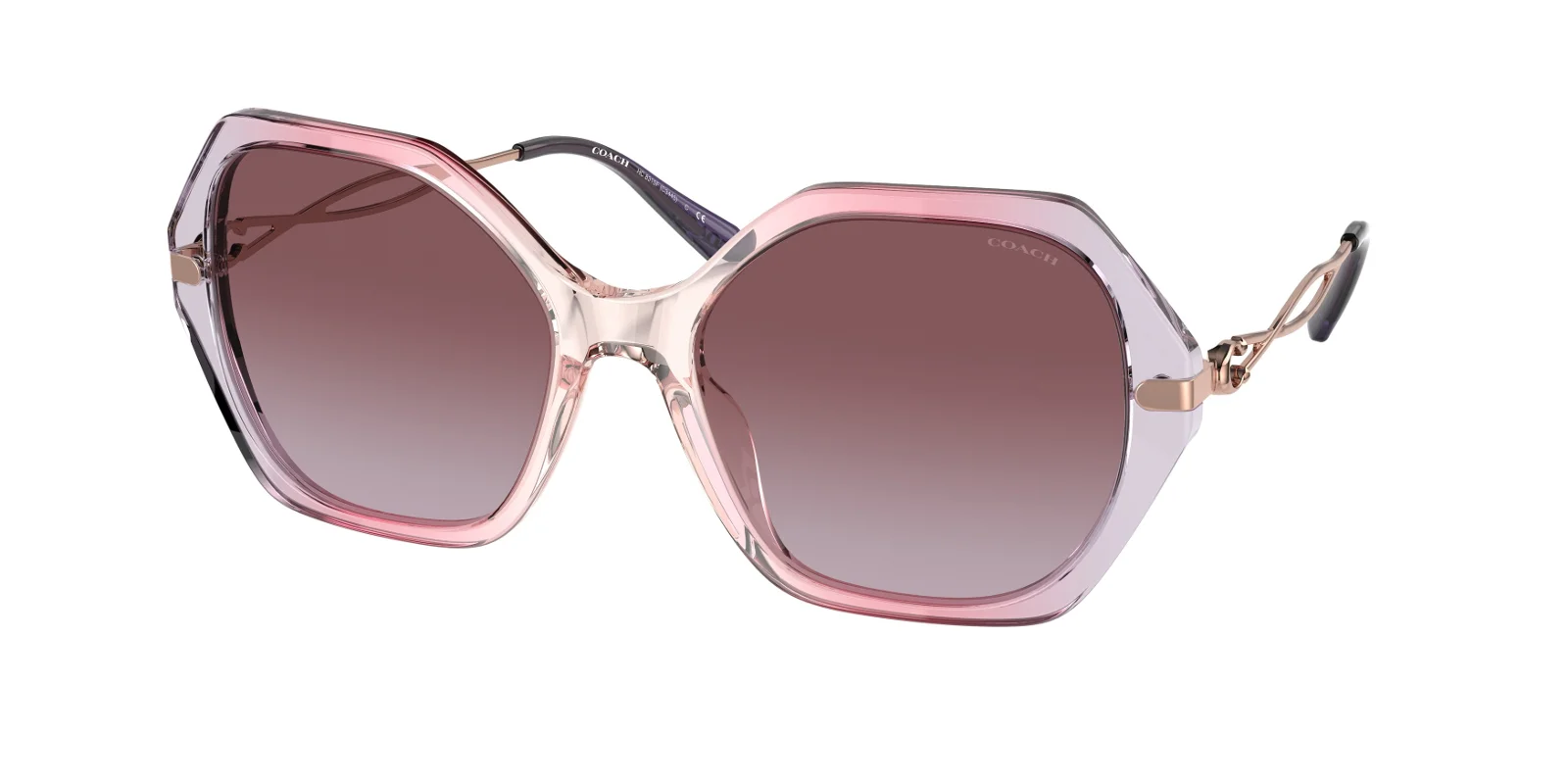 Coach Sunglasses HC8315F