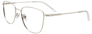 020 Silver