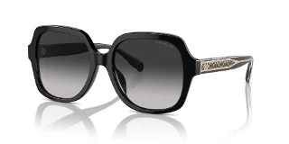 Coach Sunglasses HC8395F