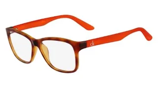 Calvin Klein Platinum Eyeglasses CK5827