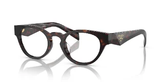 16N1O1 Briar Tortoise