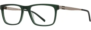 C02 Matte Forest / Silver