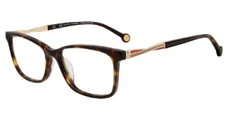 Tortoise (0722)