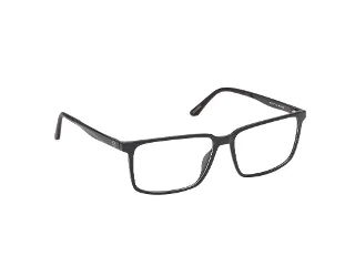 Harley Davidson Eyeglasses HD50021