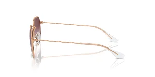 Ray Ban Jr Sunglasses RJ9594S