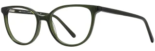 C02 Bottle Green