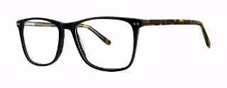 Black/Tortoise