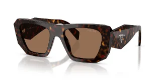 17N06B Root Tortoise