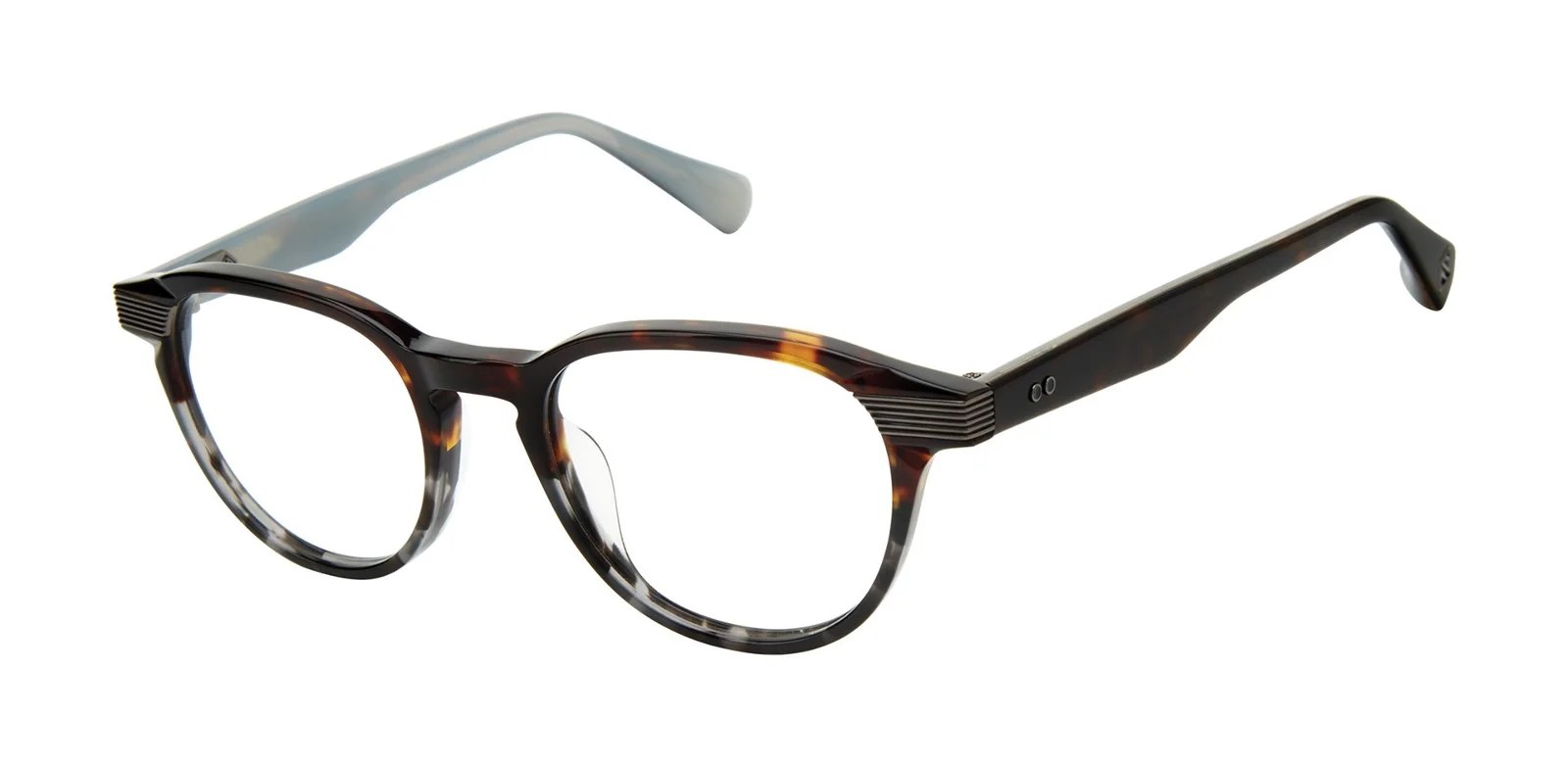 Ted Baker Eyeglasses TLM004