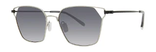 Silver (Polarized)