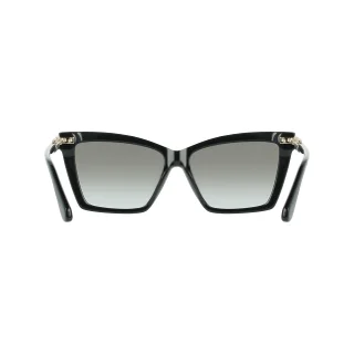 Salvatore Ferragamo Sunglasses SF2112S