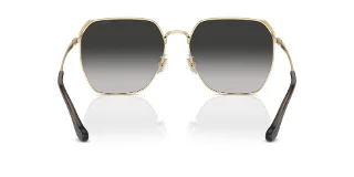 Coach Sunglasses HC7165D