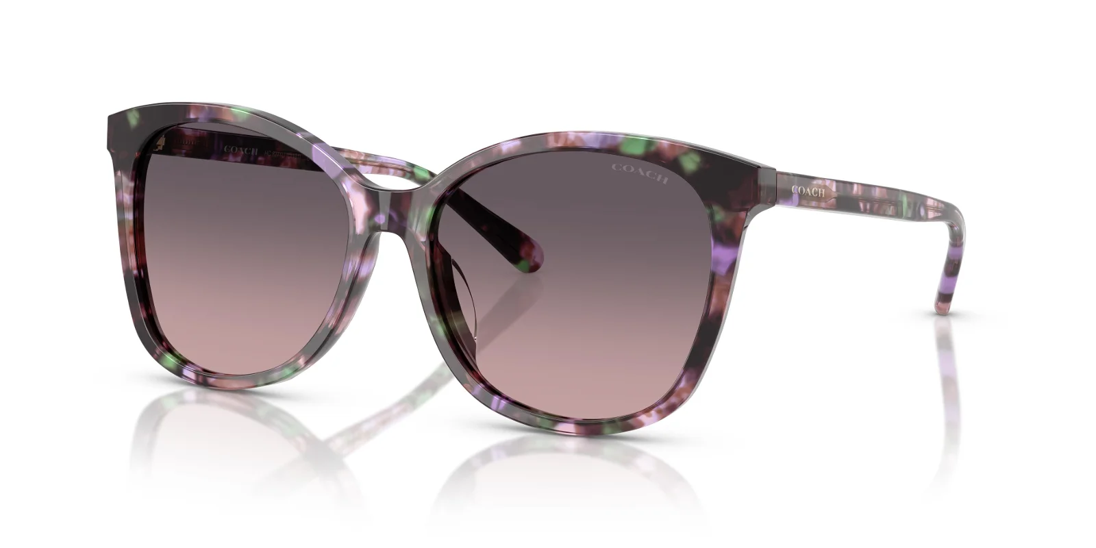 Coach Sunglasses HC8271U