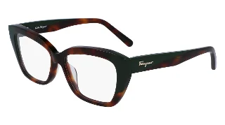 220 Tortoise/Dark Green